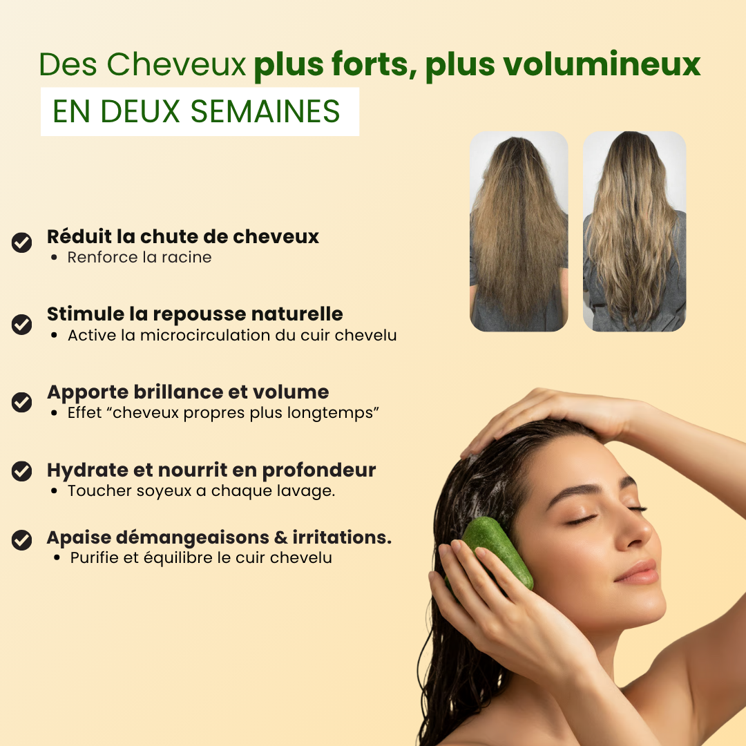 Shampoing Naturel | Repousse & Anti-Chutes (+1 OFFERT)
